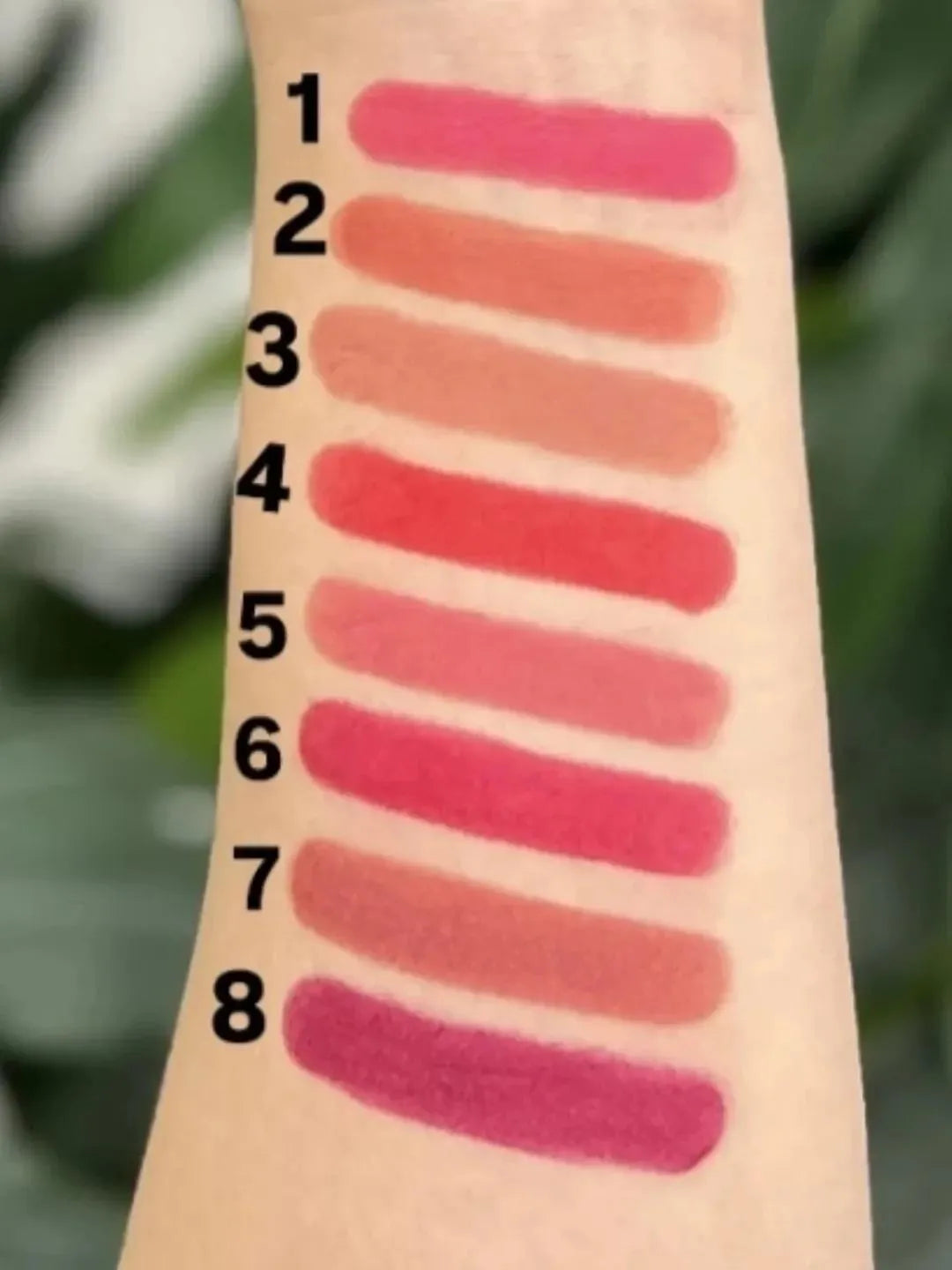 High Pigment Velvet Matte Lipstick / Lip Balm, Pack Of 2